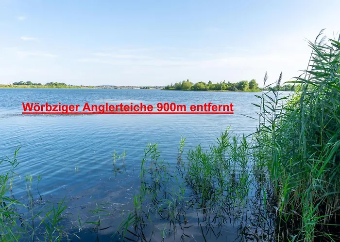 Basislager Fuer Harz Und Staedtetour Leipzig, Magdeburg, Dessau, Halle, Quedlinburg Uvm Tatil Evi *