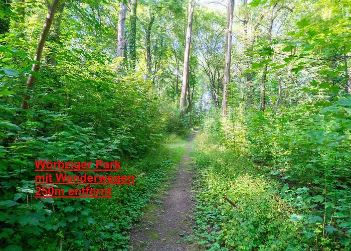 Basislager Fuer Harz Und Staedtetour Leipzig, Magdeburg, Dessau, Halle, Quedlinburg Uvm Tatil Evi *